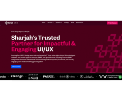 UI/UX Design Services Tenet Sharjah