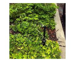 Top Irrigation Designers in Central Florida - Call Now - 2