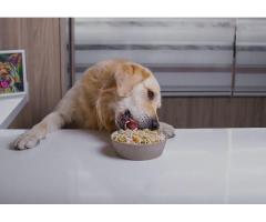 Fresh, balanced, delivered shop healthy meals & supplements for dogs & cats.