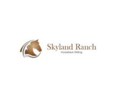 Horseback riding near Seattle with lessons and trail rides