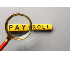 Simplify Payroll Compliance Through WPS UAE Solutions