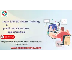 SAP SD Training Online Learn Sales and Distribution Anytime, Anywhere