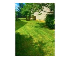 Affordable Lawn Care Services in Westerville Ohio - 3