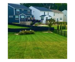 Affordable Lawn Care Services in Westerville Ohio - 4