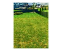 Affordable Lawn Care Services in Westerville Ohio - 6