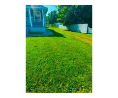 Affordable Lawn Care Services in Westerville Ohio - 7