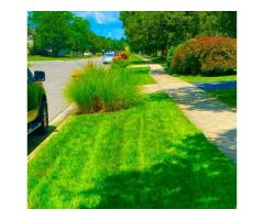 Affordable Lawn Care Services in Westerville Ohio - 8