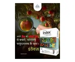 Top Fungicides for Agriculture in India Effective Fungicide Powder