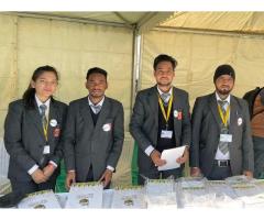 Explore Your Future in Forestry B