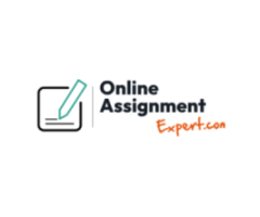 Online Assignment Expert
