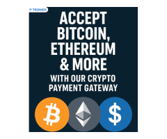 Accept Bitcoin, Ethereum &amp More with Our Crypto Payment Gateway
