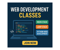 Web Development Classes Online & Offline MERN, LAMP, Python 8 Years Expert Trainer