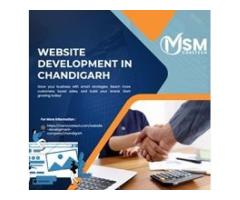 Website Development Services in Chandigarh