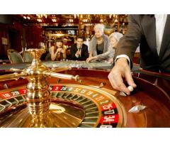 Stake Casino Germany The Ultimate Online Gaming Experience