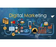 Digital Marketing Services in Chandigarh