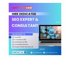 Top SEO Consultant in the UK Sathees SEO
