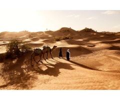 Desert Safari No Dune Bashing What s Possible in Dubai &amp amp Safer Alternatives