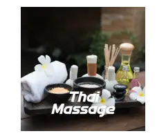 Spa Palm Vista Panvel