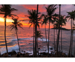 Discover the Magic of Sri Lanka - 5