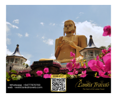 Discover the Magic of Sri Lanka - 7
