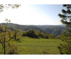 Best Location in Piemonte Find Your Dream House in Piemonte