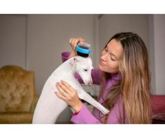 Trusted Grooming Home Service in Dubai Gentle & Safe Care