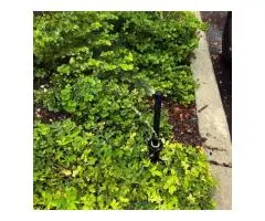 Schedule Irrigation Water Management service in Kissimmee