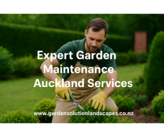 Expert Garden Maintenance Auckland Services