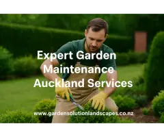 Expert Garden Maintenance Auckland Services