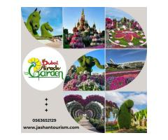 Jashan Tourism, Your Trusted Travel Partner - 4