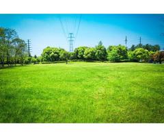 Expert Lawn Care Services in Westerville, Ohio - Call Today