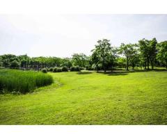 Expert Lawn Care Services in Westerville, Ohio - Call Today - 2