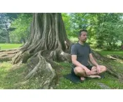 Experience Change with Metamorphosis Life Coaching - 6