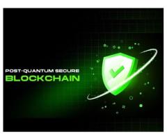 Post-Quantum Secure Blockchain The Future of Cryptography