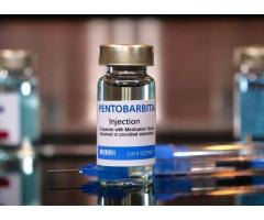 Nembutal Pentobarbital kopen, kaliumcyanide kopen, Xanaxs, Addies