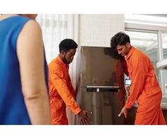 Moving Champs NZ Your Trusted Moving & Packing Partner Across New Zealand - 5