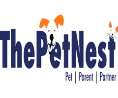 Dog Grooming at home in Bangalore - ThePetNest