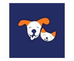 Dog Grooming Service in Hyderabad - By ThePetNest