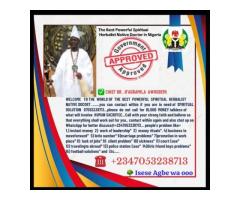 The Best Powerful Spiritual Herbalist Native Doctor In Nigeria