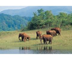Madurai to Kodaikanal Travels