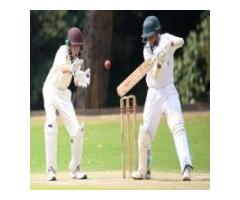 Exciting Cricket Matches