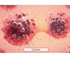 Cancer Treatment in India Edhacare Medical Tourism Company