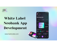 Build a Profitable White Label Neobank Today with Hashcodex