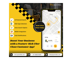 How to Build an Affordable AI Taxi App Similar to Uber