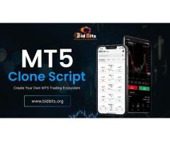 MT5 Clone Script Provider In USA