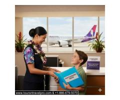 Hawaiian Airlines Minor Assistance Program Call  -