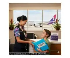 Hawaiian Airlines Minor Assistance Program Call  -
