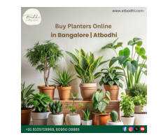 Premium Caf Planters in Bangalore Atbodhi