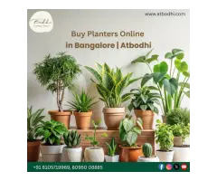 Premium Caf Planters in Bangalore Atbodhi