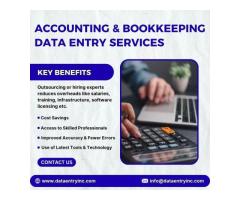 Accounting & Bookkeeping Data Entry Services in India